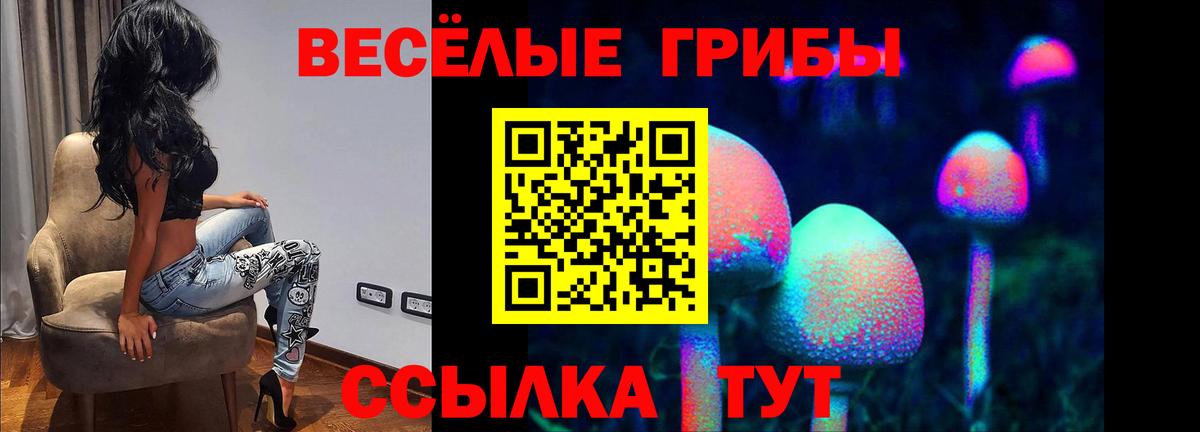 Галлюциногенные грибы Psilocybine cubensis  Вход с VPN  Лабинск 